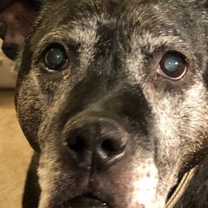 Meet your Posher, Marie